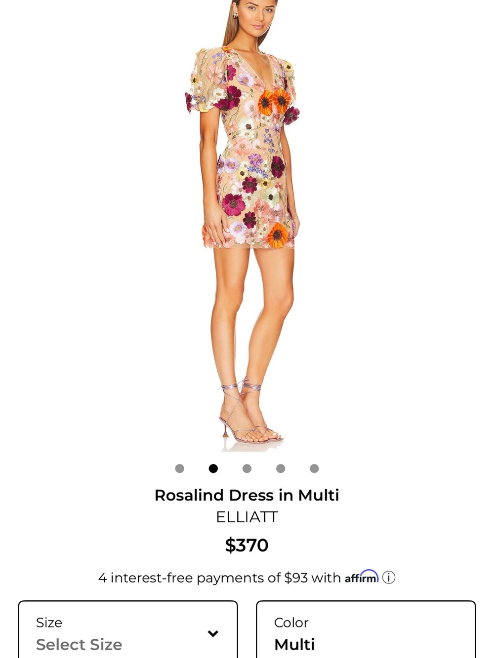 Elliatt Multi Floral Embroidered Mini Dress